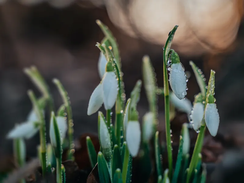 PPME Den Haag programma voor februari 2023