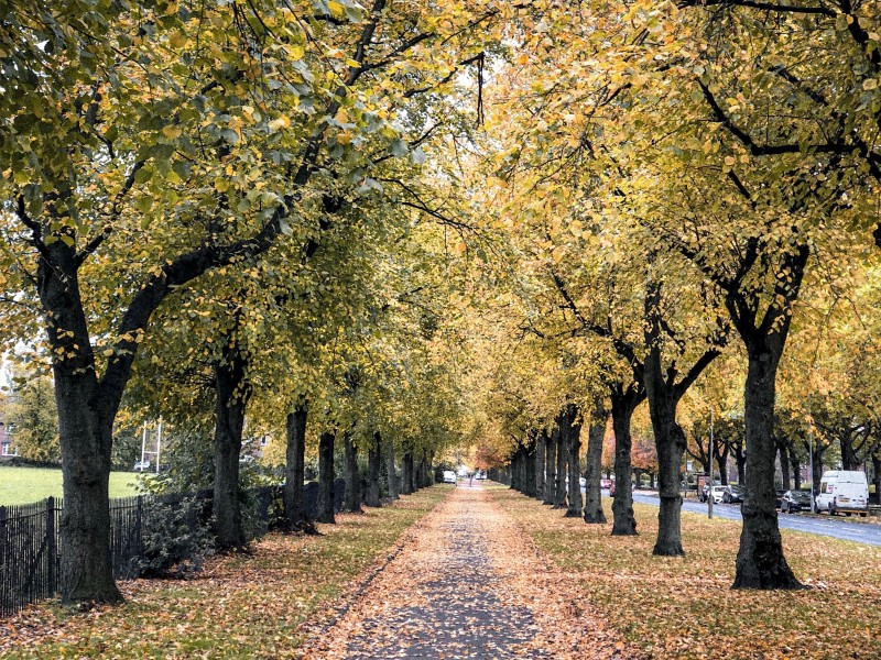 Jadwal Pengajian Indonesia November 2022 PPME Den Haag